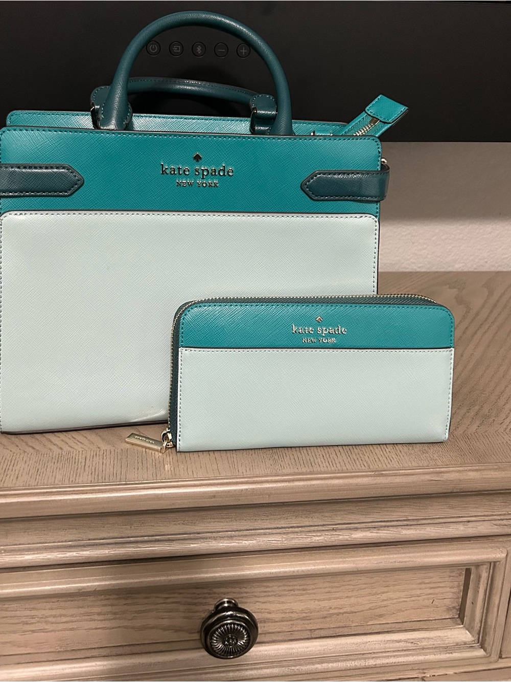 kate spade Two-Tone Teal & Light Mint Leather Tote and Wallet Set